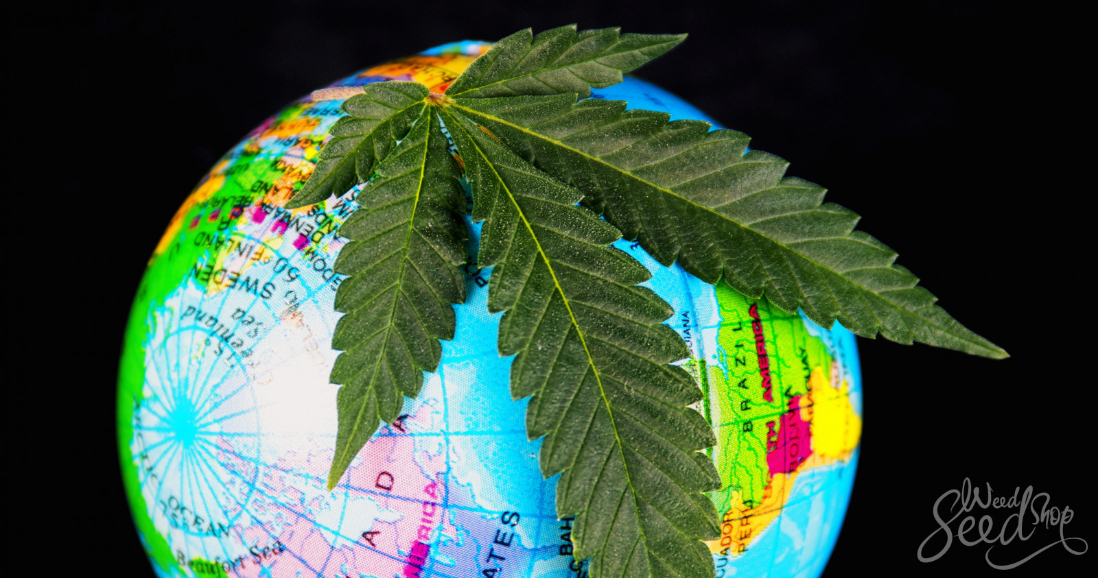 globus s konopným listem, znázorňující celosvětový vývoj v legalizaci konopí