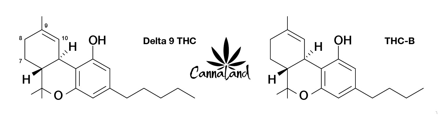 Porovnání chemických vzorců látek THC a THC-B