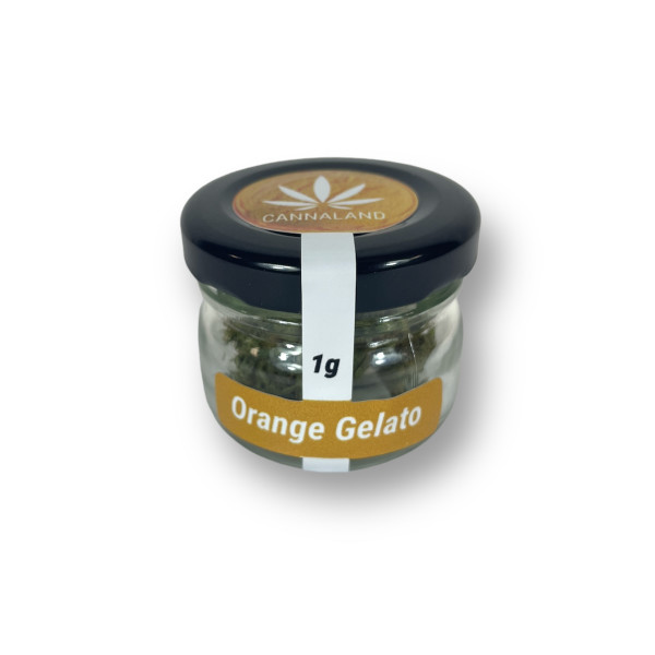 CBD Orange Gelato